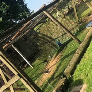 Meet your Posher, Emmanuel